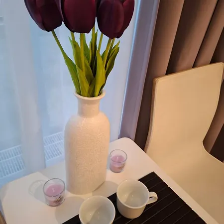 Lägenhet Zlatarooms 202 *